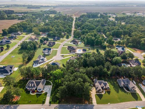 Lot 166 Capitol Hill Dr, Tanner, AL, 35671-3689 | Card Image