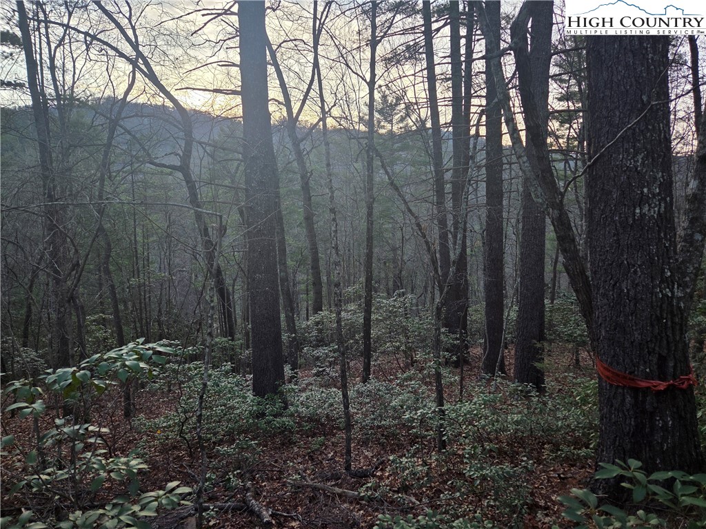 Land in Deep Gap