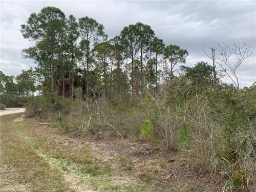 00 Sw 153rd Ter, Cedar Key, FL, 32625 | Card Image