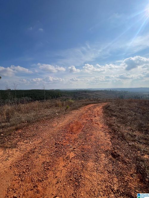 1-2711 Montgomery Highway, Centreville, AL, 35042 | Card Image