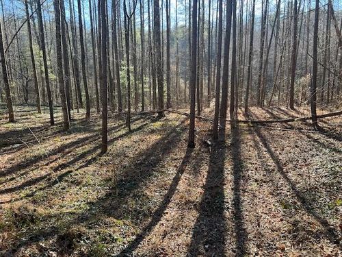 3 Old Miller Rock Rd, Ellijay, GA, 30540 | Card Image