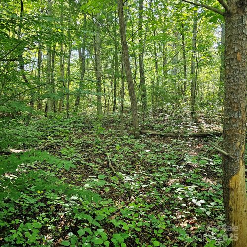 99999 Campground Road, Asheville, NC, 28805 | Card Image