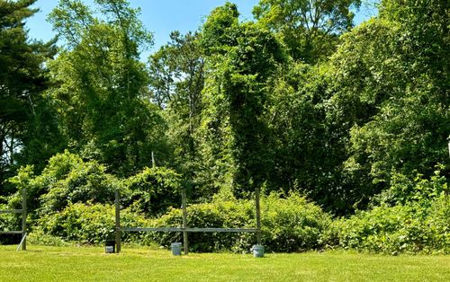 0 Sandwich Rd, East Falmouth, MA, 02536 | Card Image