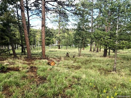 1845 Burland Dr, BAILEY, CO, 80421-1859 | Card Image
