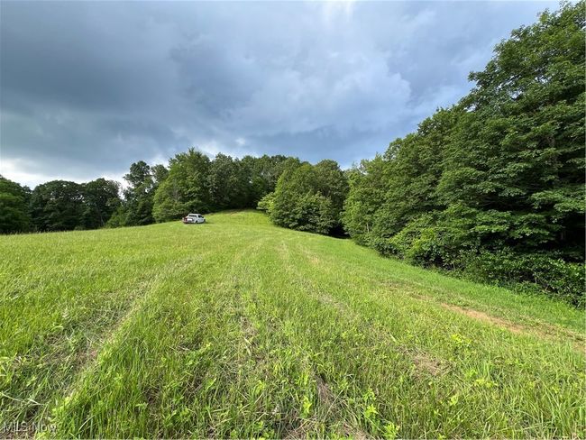 View of meadow with a wooded view | Image 18