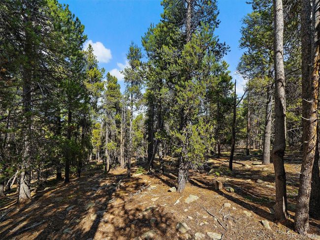 0 Edward Dr, Home with 0 bedrooms, 0 bathrooms and null parking in Conifer CO | Image 12