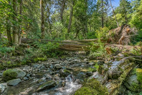 3496 E Fork Rd, Williams, OR, 97544 | Card Image