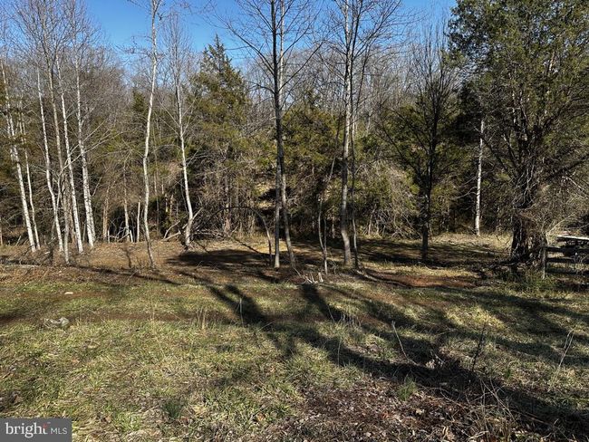 2331 Orange Rd, House other with 3 bedrooms, 2 bathrooms and null parking in PRATTS VA | Image 48