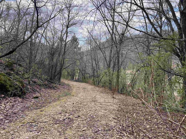 71 +/- Acres Scenic View Road, Home with 0 bedrooms, 0 bathrooms and null parking in Seneca WI | Image 27