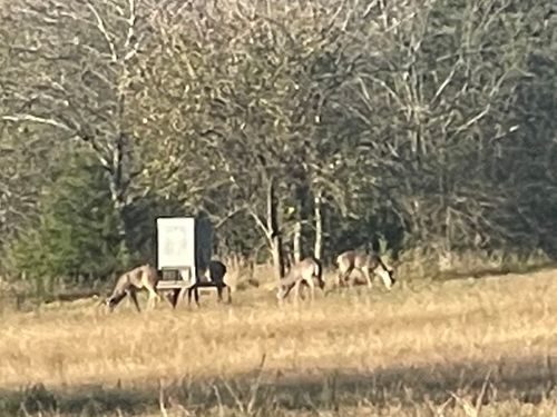 TBD County Road 4145, Cooper, TX, 75432 | Card Image