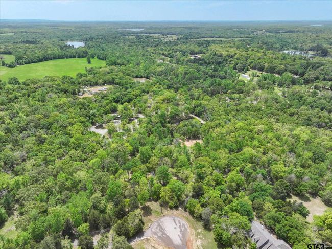 8950 Timber Rdg, Home with 0 bedrooms, 0 bathrooms and null parking in Larue TX | Image 10