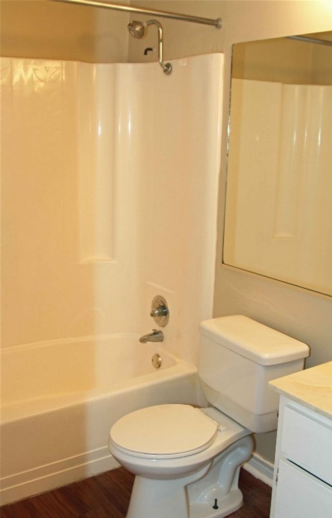 APT-20 - 910 Duncan Ln, Condo with 2 bedrooms, 2 bathrooms and 1 parking in Austin TX | Image 17