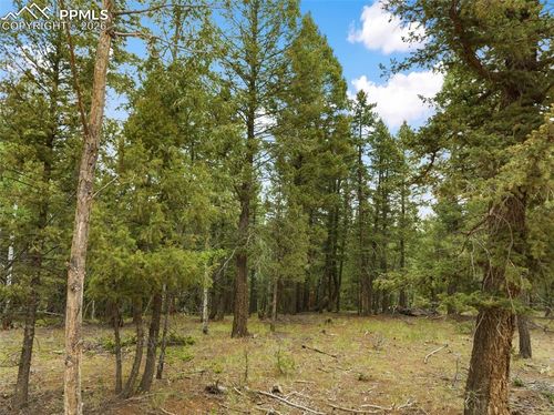 810 Ridge Rd, Divide, CO, 80814-9607 | Card Image