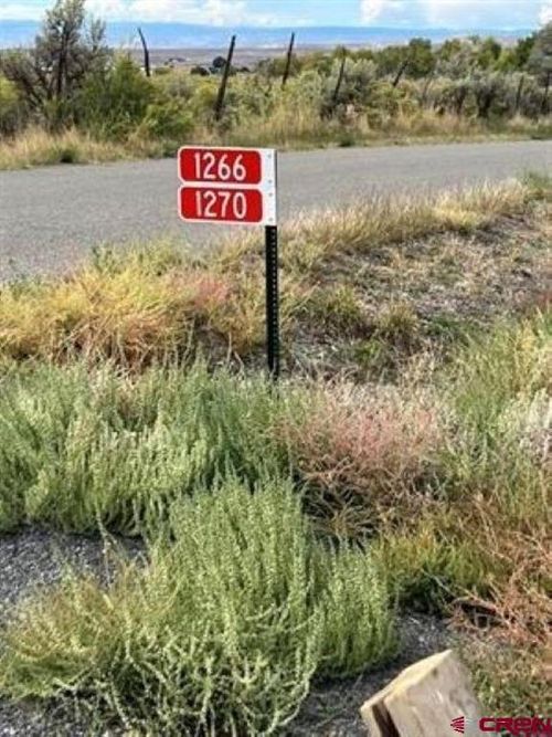 1266 Sw 11th St, Cedaredge, CO, 81413 | Card Image