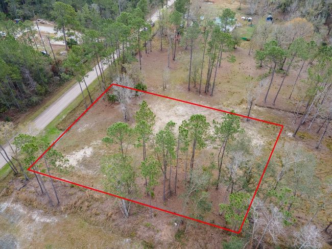 1718 Papaya St, Home with 0 bedrooms, 0 bathrooms and null parking in BUNNELL FL | Image 13