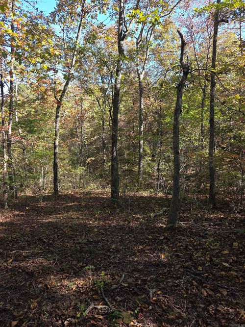 0 Karen Dr, Dennard, AR, 72629 | Card Image