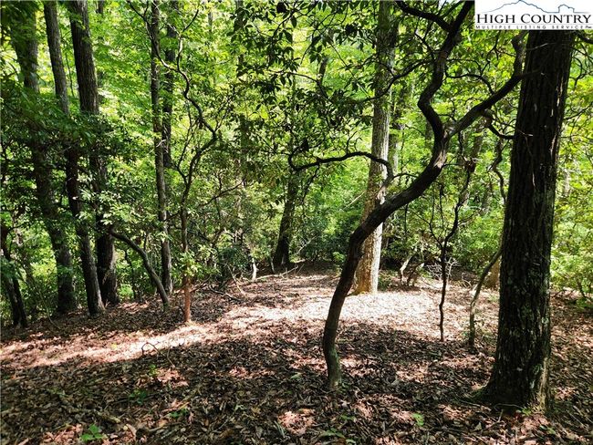 25 - 301 Bear Track Ln, Home with 0 bedrooms, 0 bathrooms and null parking in Lenoir NC | Image 24