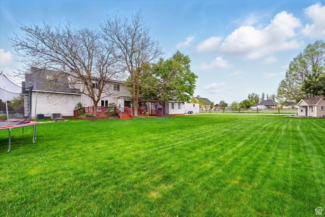 View of yard with a trampoline and a wooden deck | Image 16