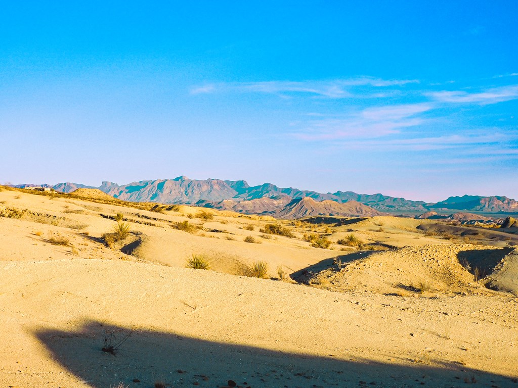 Land in Terlingua 2