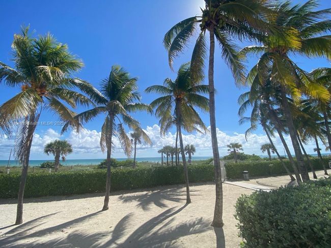 APT-506 - 5005 Collins Ave, Condo with 1 bedrooms, 2 bathrooms and null parking in Miami Beach FL | Image 15