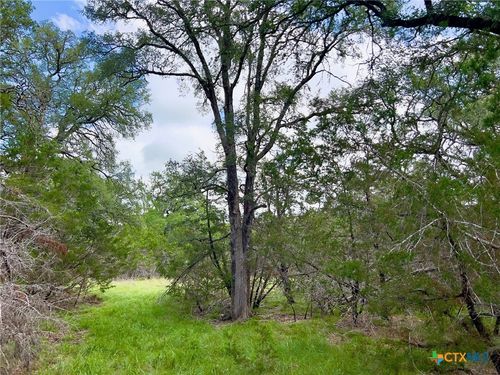 1-TBD Lot 43A Narrows Road, Blanco, TX, 78606 | Card Image