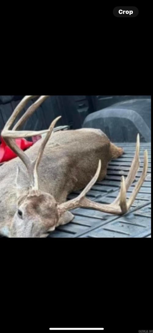 TBD Bradley 351 Rd, Hermitage, AR, 71647 | Card Image