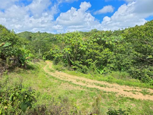 PR- 155 KM. 20 HM 8 INT Bauta Arriba Ward, OROCOVIS, PR, 00720 | Card Image