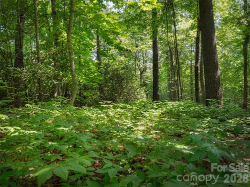 Lot 161 Eagle Lake Dr, Brevard, NC, 28712-9708 | Card Image