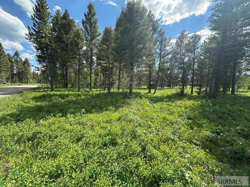 4095 Icehouse Creek Way, Island Park, ID, 83429 | Card Image