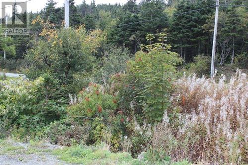 lot-1-235-237 Beachy Cove Rd, Portugal Cove-St. Philips, NL, A1M | Card Image
