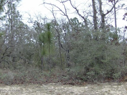 TBD Panama Ct, Chipley, FL, 32428 | Card Image