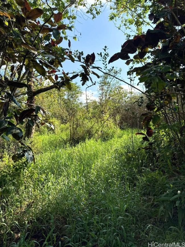 LOT-1-A-6 - 0 Pahoa Kalapana Road, Home with 0 bedrooms, 0 bathrooms and null parking in Pahoa HI | Image 6
