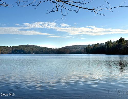 23 Ted'S Way, Diamond Point, NY, 12824 | Card Image