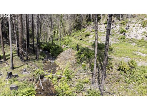 47983 Mckenzie Hwy, Vida, OR, 97488-9734 | Card Image