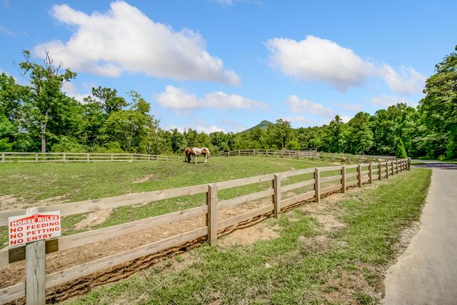 507 Big Stump Mountain Trl, House other with 3 bedrooms, 3 bathrooms and null parking in Jasper GA | Image 98