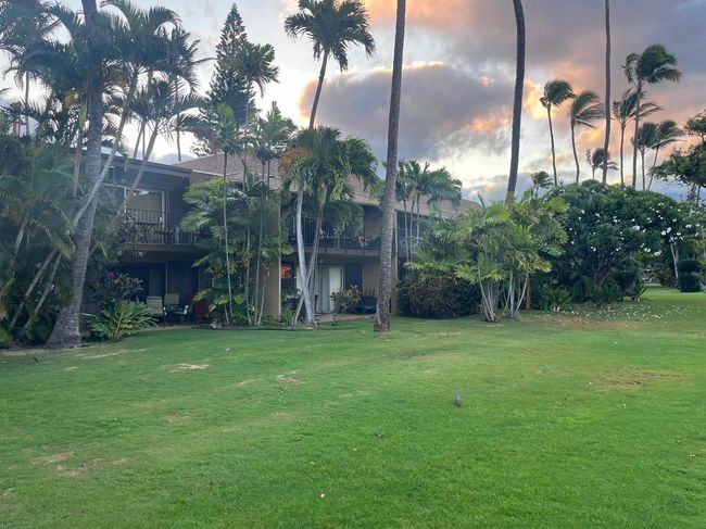 APT-3C - 3559 Lower Honoapiilani Rd, Condo with 2 bedrooms, 1 bathrooms and null parking in Lahaina HI | Image 9