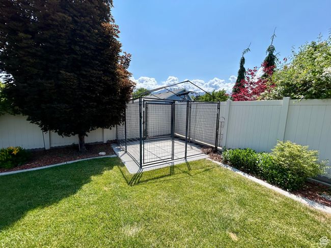 View of yard | Image 34