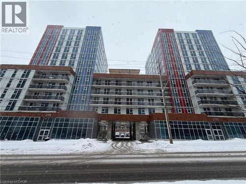 1903-239 Albert St, Waterloo, ON, N2L0K5 | Card Image