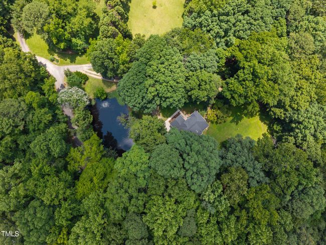 6-web-or-mls-DJI_20250611132253_0150_D | Image 5