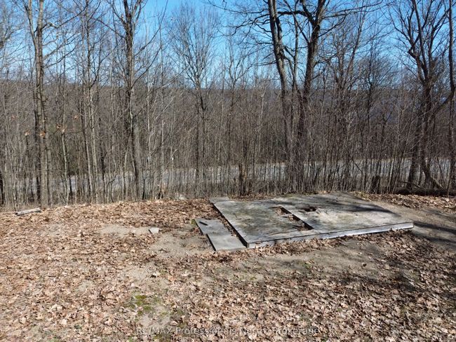 1023 Little Hawk Lake Rd, Home with 0 bedrooms, 0 bathrooms and null parking in Algonquin Highlands ON | Image 8