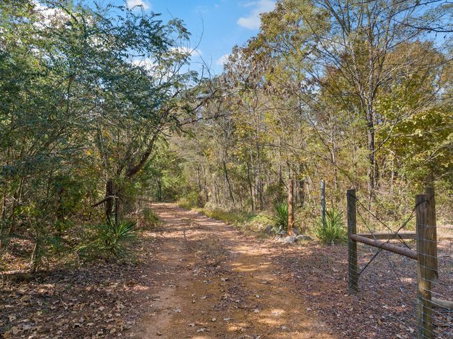 View of local wilderness | Image 37