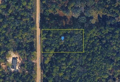 10030 Delgado Ave, Hastings, FL, 32145 | Card Image