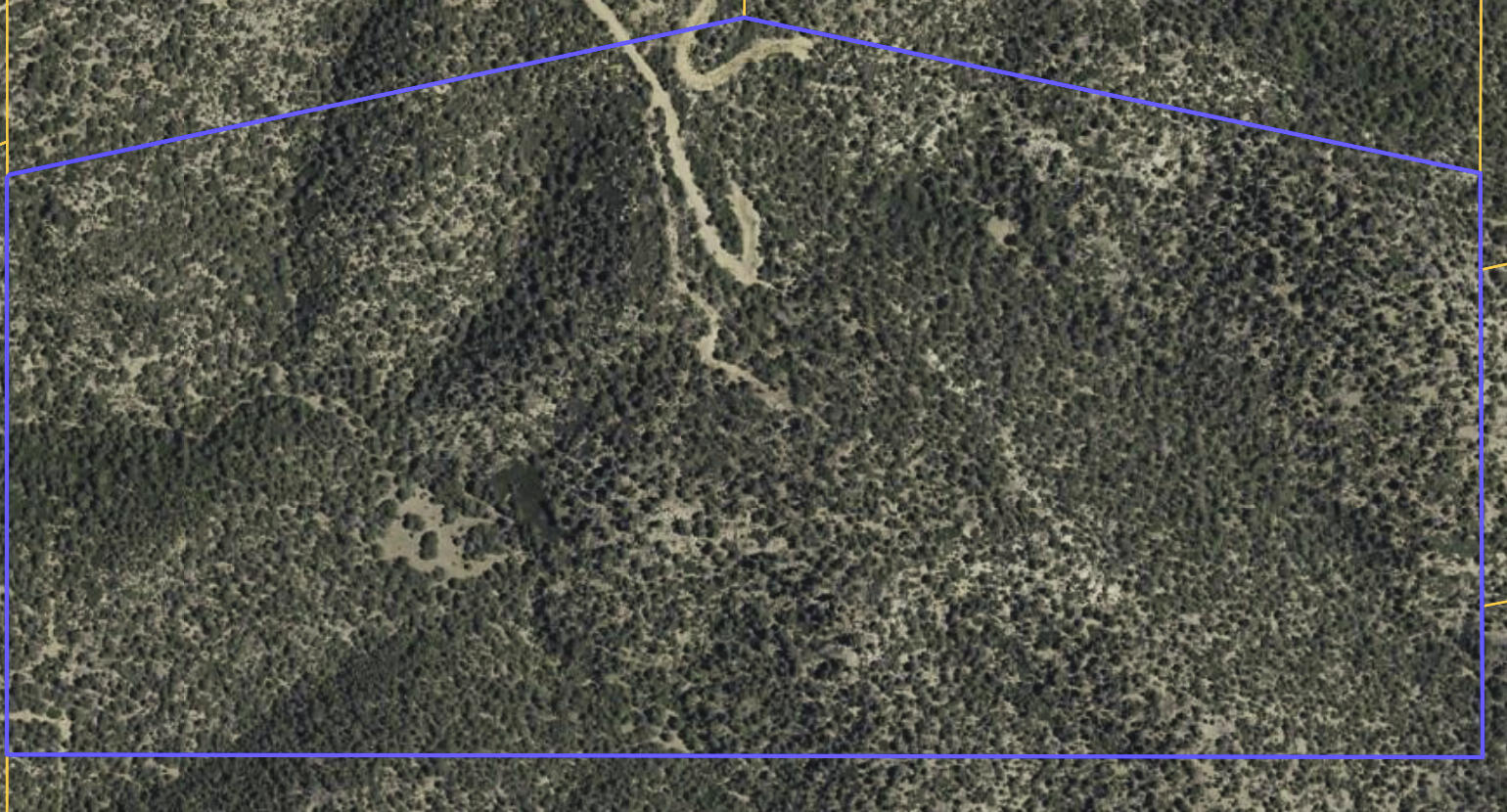Land in Trinidad 2