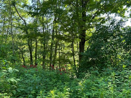 2871 Texas Hill Rd, Hinesburg, VT, 05461-6501 | Card Image