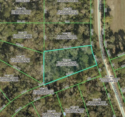 Lot 12 Carolina Dove Rd, Brooksville, FL, 34614 | Card Image