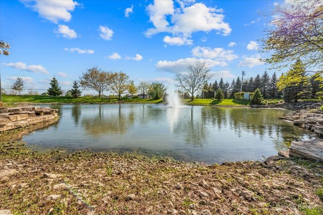 9531 Lenox Ln, Townhouse with 2 bedrooms, 2 bathrooms and 2 parking in Village Of Lakewood IL | Image 49