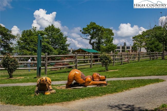 Beech Mountain Dog Park | Image 36