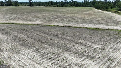 08600022T1 Red Bird Rd, Lumber City, GA, 31549 | Card Image