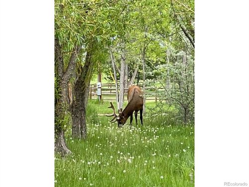 435 Willowrock Dr, Loveland, CO, 80537-9360 | Card Image