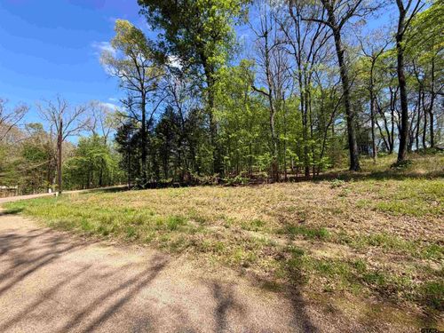 LOT 1&amp;2 Pelican Drive, Winnsboro, TX, 75494 | Card Image